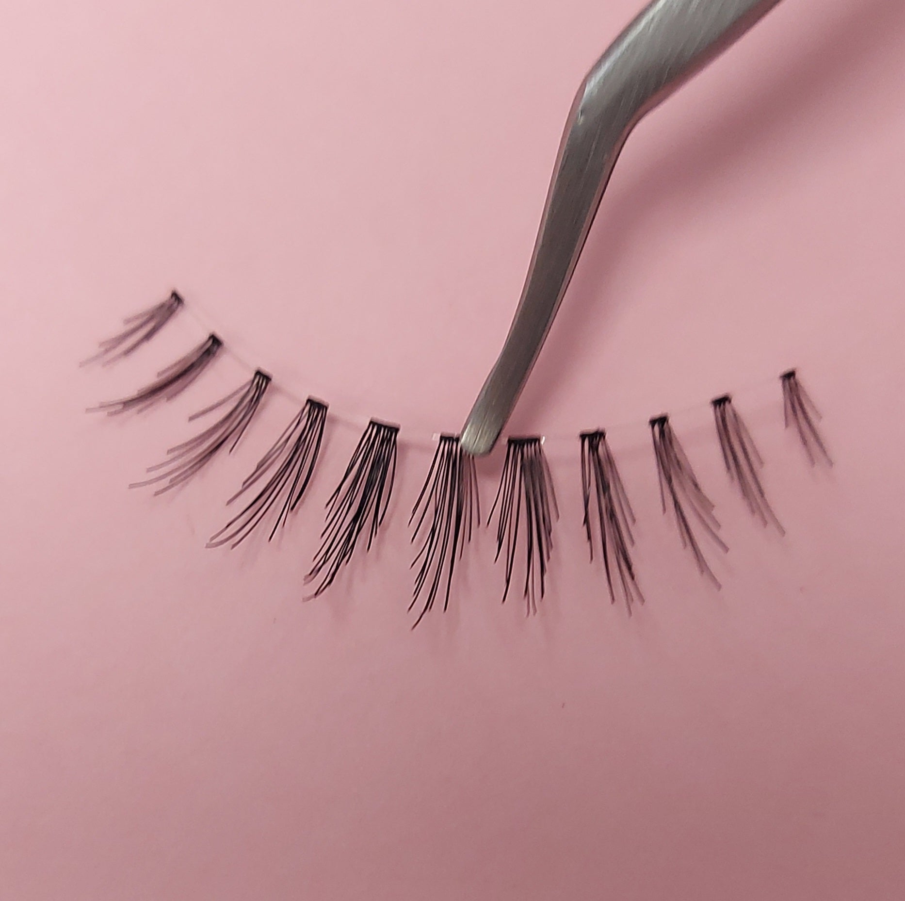 Jayne - Natural Eyelash